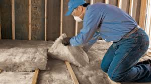 Best Basement Insulation in Keystone, FL